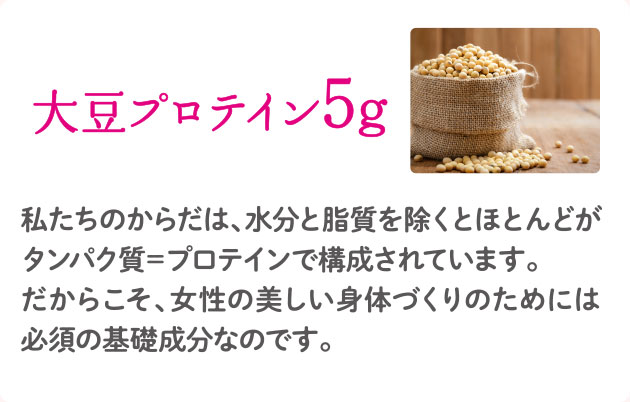 大豆プロテイン5g