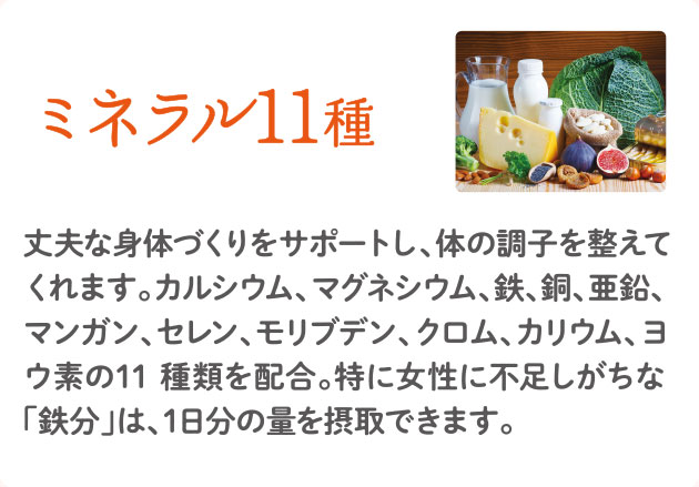 ミネラル11種