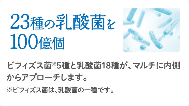 23種の乳酸菌を100億個