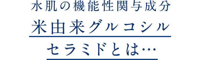 水肌の機能性関与成分　米由来グルコシルセラミドとは…