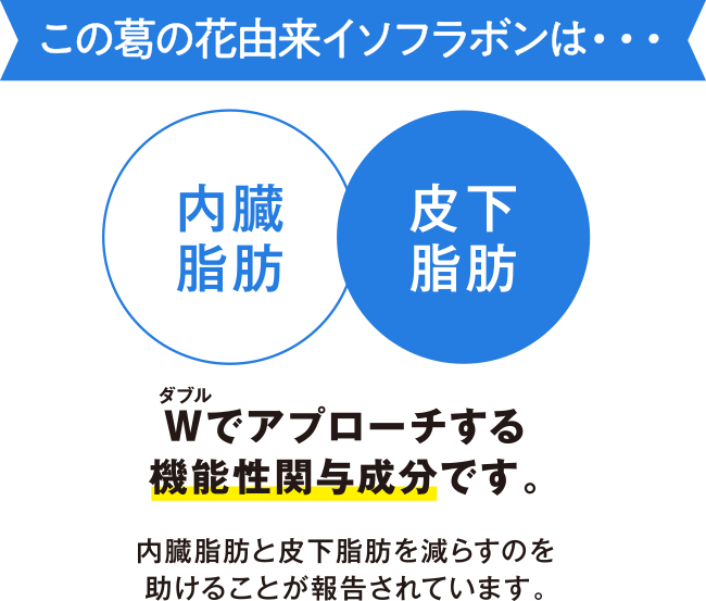 この葛の花由来イソフラボンは・・・Wでアプローチする機能性関与成分です。