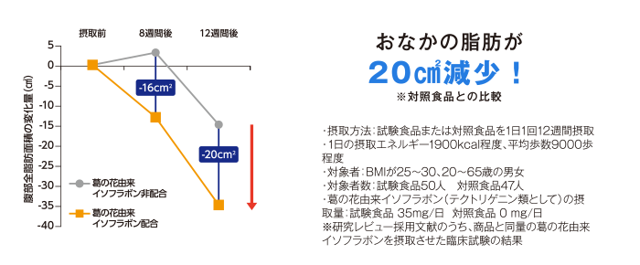 おなかの脂肪が20㎠減少！