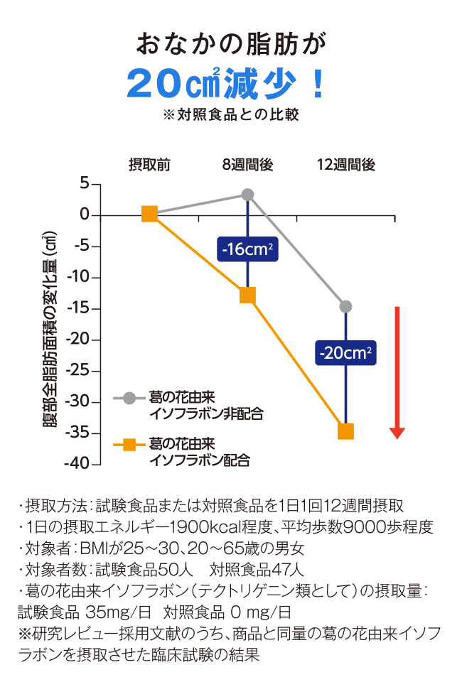 おなかの脂肪が20㎠減少！