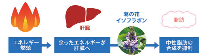 図