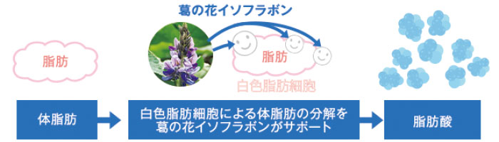 図