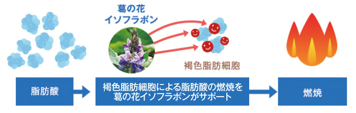 図