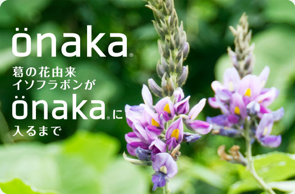onaka