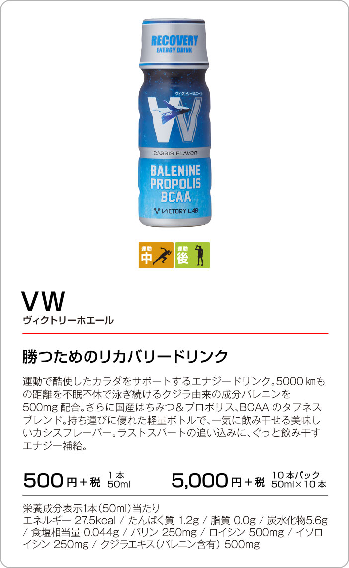 VW　ヴィクトリーホエール